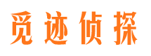 未央市私家侦探